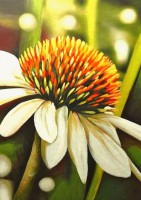 /album/fenykepgaleria/szikrazo-fenyben-jpg/